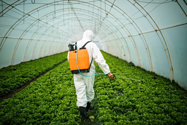 Best Affordable Pest Control Services  in San Jose, CA