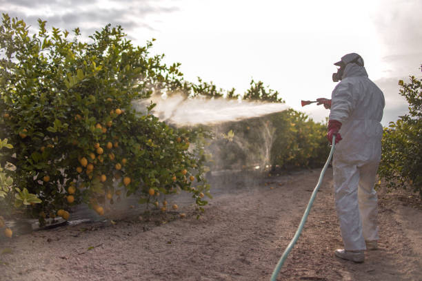 Best Pest Inspection Near Me  in San Jose, CA