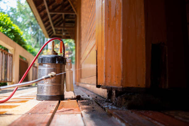 Best Affordable Pest Control Services  in San Jose, CA
