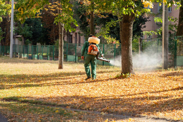 Best Mosquito Control Services  in San Jose, CA