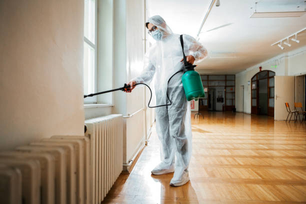 Best Termite Control Services  in San Jose, CA