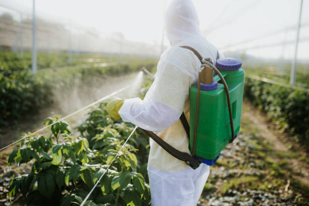 Best Bed Bug Extermination  in San Jose, CA